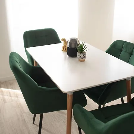 Jungle Lumineux Plein Centre Appartement *