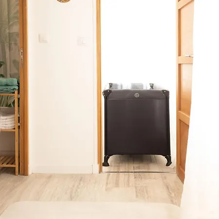 Jungle Lumineux Plein Centre Boulogne-sur-Mer