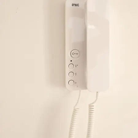 Apartment Jungle Lumineux Plein Centre *