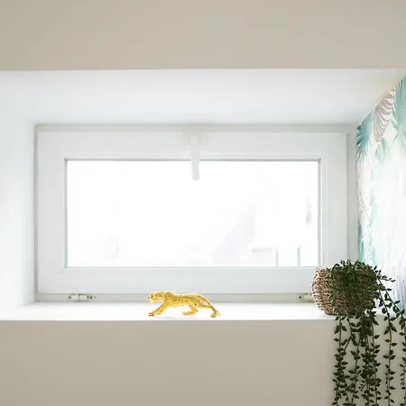 Apartment Jungle Lumineux Plein Centre Boulogne-sur-Mer