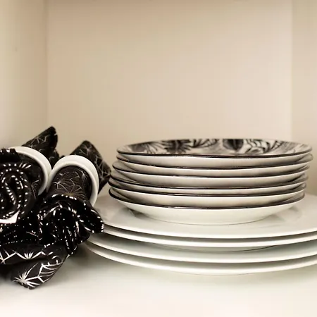 Jungle Lumineux Plein Centre Boulogne-sur-Mer