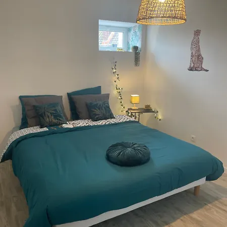 Appartement Jungle Lumineux Plein Centre