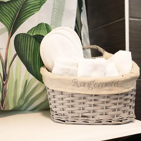 Apartment Jungle Lumineux Plein Centre *