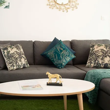 Jungle Lumineux Plein Centre Boulogne-sur-Mer