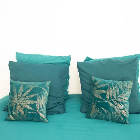 Jungle Lumineux Plein Centre Apartment Boulogne-sur-Mer