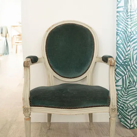 Jungle Lumineux Plein Centre Boulogne-sur-Mer