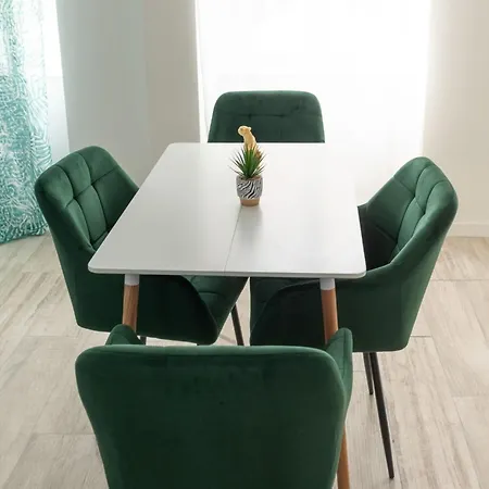 Jungle Lumineux Plein Centre Apartment Boulogne-sur-Mer