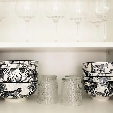 Jungle Lumineux Plein Centre Boulogne-sur-Mer