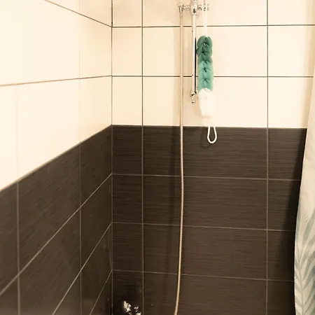 Apartment Jungle Lumineux Plein Centre *