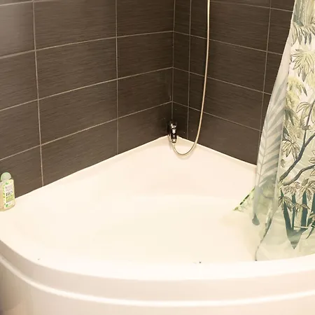 Jungle Lumineux Plein Centre Apartment Boulogne-sur-Mer