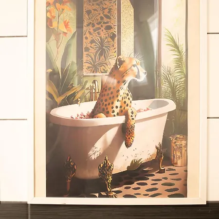 Apartment Jungle Lumineux Plein Centre Boulogne-sur-Mer