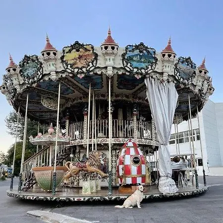 Jungle Lumineux Plein Centre