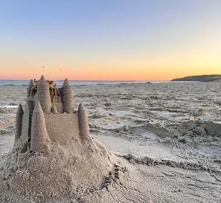 Jungle Lumineux Plein Centre Apartment